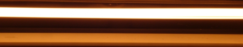 P1010750.JPG